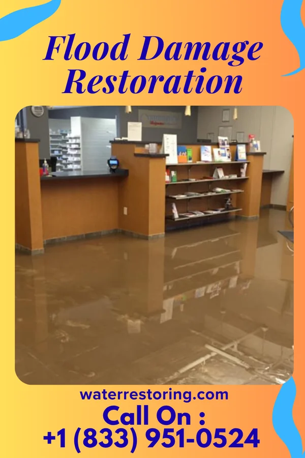 Flood Damage Restoration in East Amana, IA