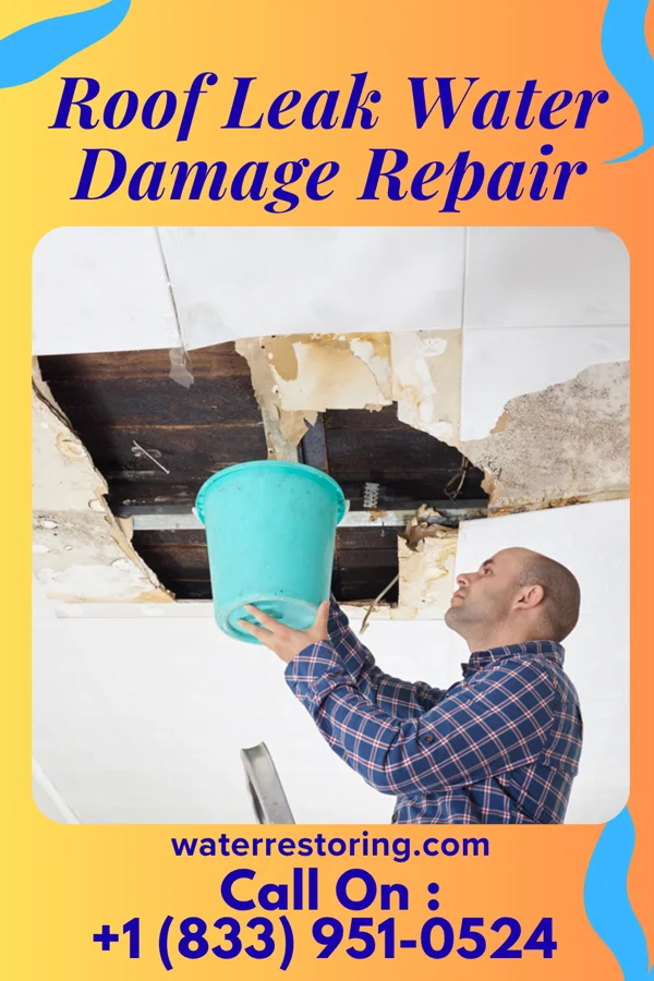 Roof Leak Water Damage Repair in East Amana, IA