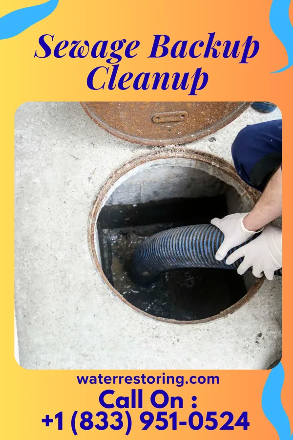 Sewage Backup Cleanup in East Amana, IA