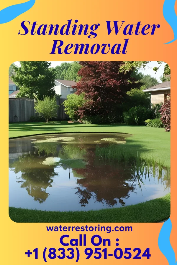 Standing Water Removal in East Amana, IA